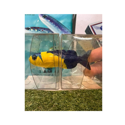 日本 FiiiiiSH Fish Magnet 磁石