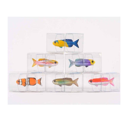 日本 FiiiiiSH Fish Magnet 磁石