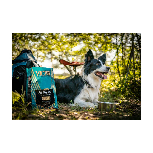 美國 Osprey Archeon 30L Backpack小鹰 背包