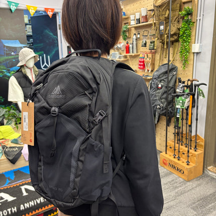 美國 GREGORY 153058 Nano 20L Backpack露營背囊