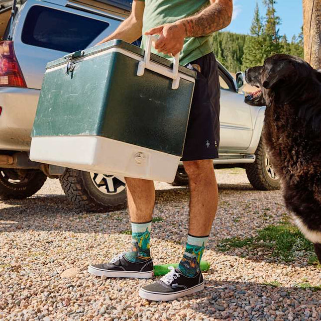 美國 Smartwool Hike Targeted CushionTrail Trekker Print Crew Socks Men's男裝行山襪