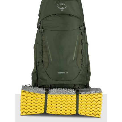 Osprey - GKESTR58 - 23 - GRN - SM