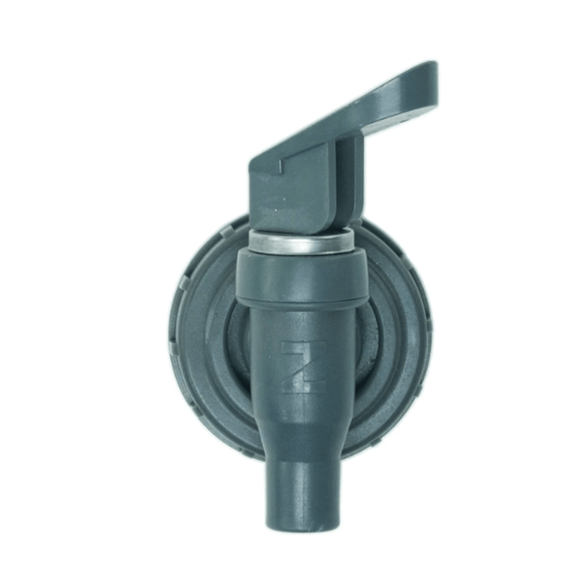 Colapz-SCOL2461----REG-FREE